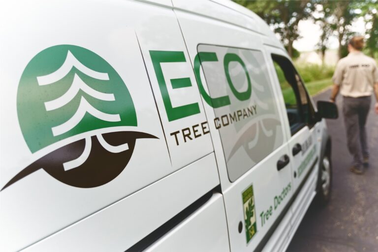Eco homescroll2 768x512