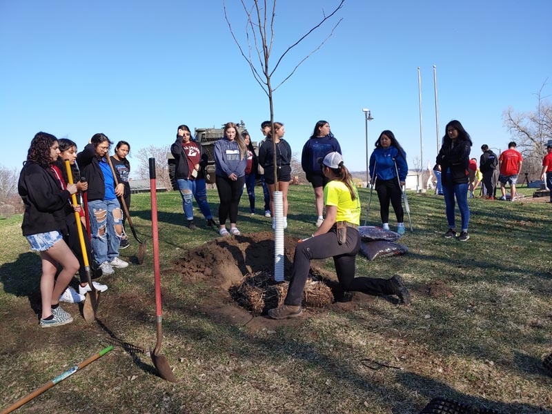 legacy trees root system seminar