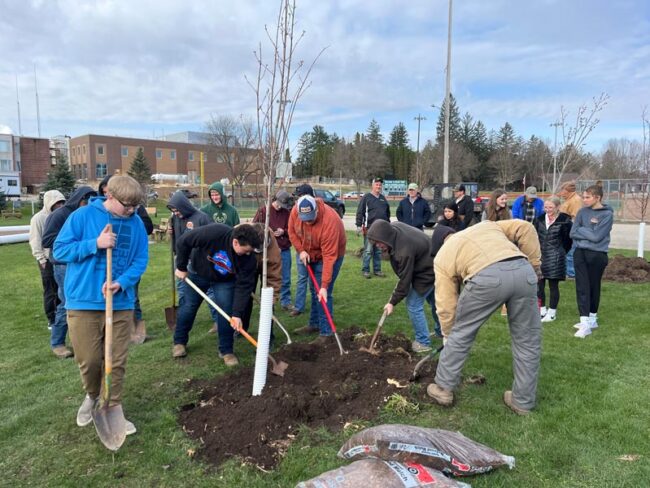 legacy trees root system seminar