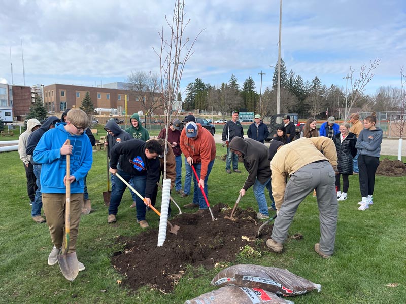legacy trees root system seminar