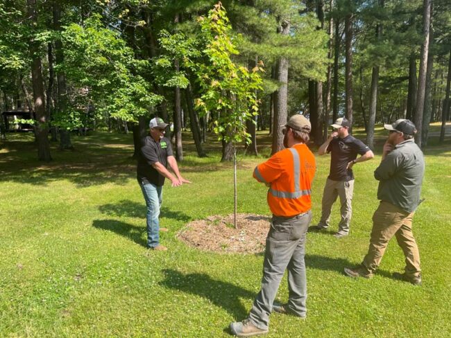 legacy trees root system seminar