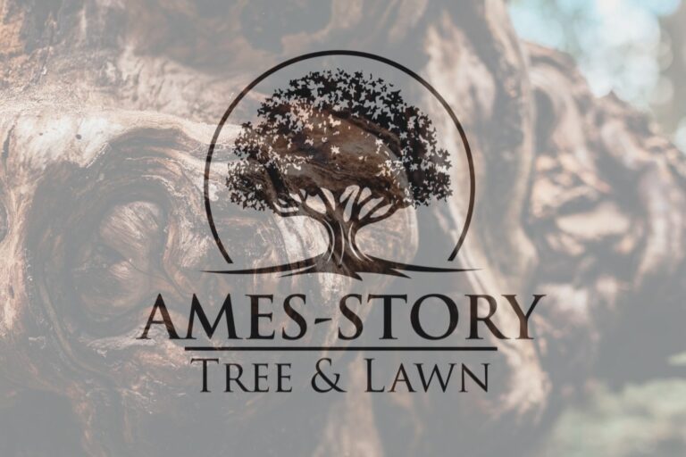 ames tree n lawn 768x512
