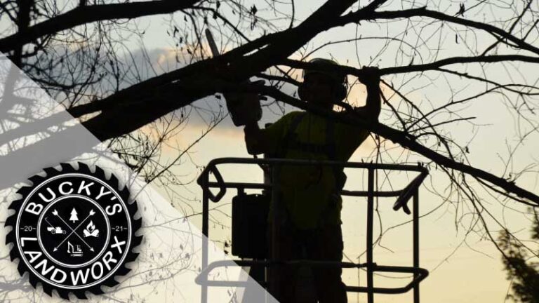 Buckys LandWorx 768x432