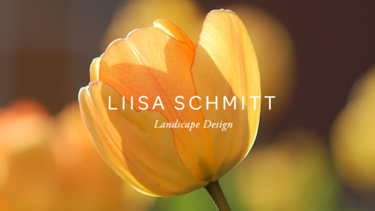Liisa Schmitt Landscape Design 768x432