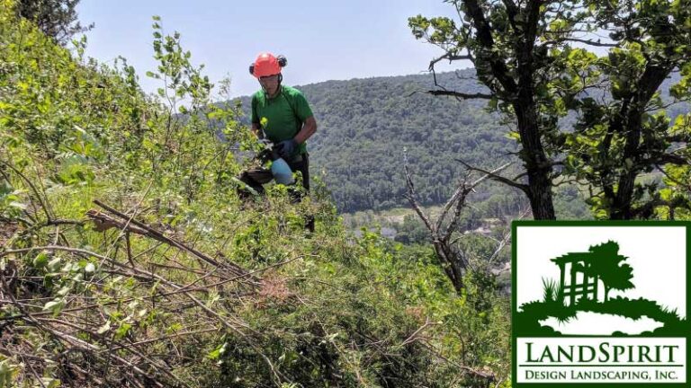 landspirit 1 768x432