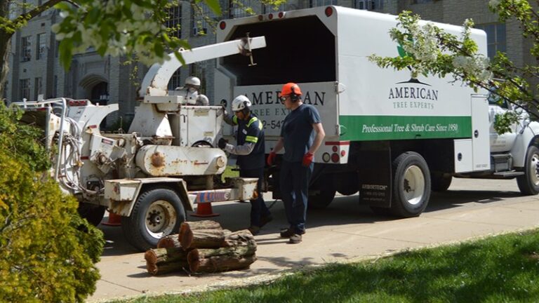 ATE workinghard web 1 768x432