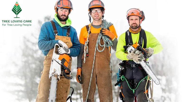 tree loving people 768x432