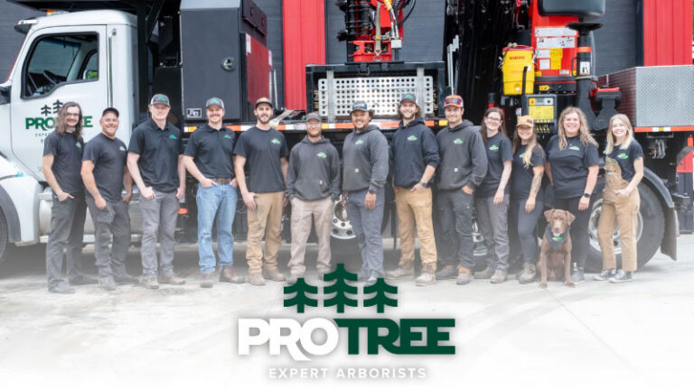 pro tree 1 768x432